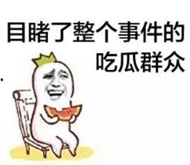 吃瓜群众亮哥最新视频,揭秘娱乐圈幕后真相，吃瓜群众热议不断！