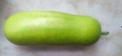 立秋吃瓜视频完整版,揭秘传统习俗中的美味时光