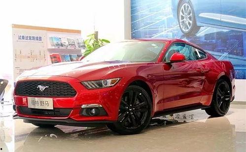 野马吃瓜视频大全,揭秘动物界的趣味瞬间