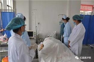 内蒙医院吃瓜事件视频最新,真相揭秘，网友热议