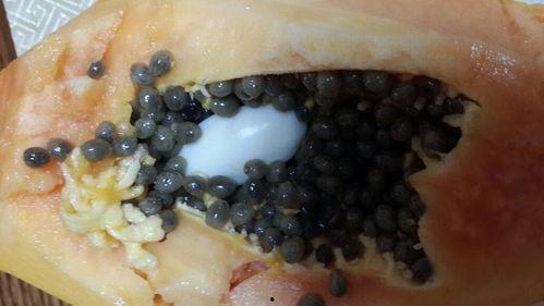 结肠癌能否吃脆皮瓜呢视频,脆皮瓜的适宜性分析