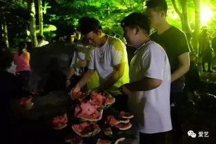 翰林学府吃瓜事件视频,揭秘校园内幕，视频曝光惊人真相