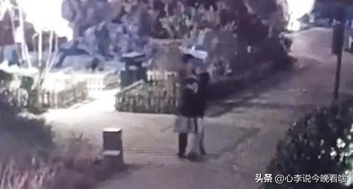 老街完整版视频吃瓜,揭秘视频背后的真实吃瓜故事