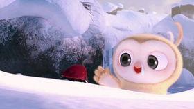 吃瓜比赛小视频下载,吃瓜比赛小视频下载，一网打尽瓜界精彩瞬间