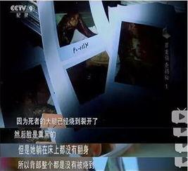 吃瓜离奇事件视频大全,视频大全背后的惊人真相