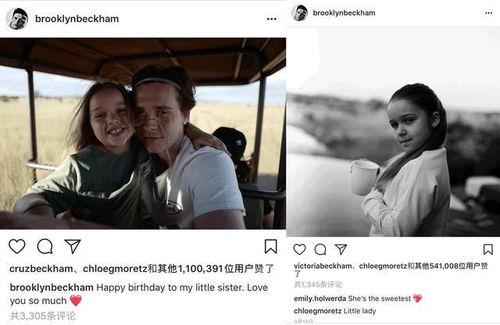 明星和女粉丝吃瓜视频,一场意外的甜蜜“吃瓜”之旅