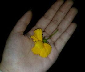 吃瓜画面素材视频,揭秘吃瓜群众的欢乐瞬间