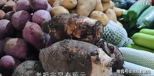 福建福州吃瓜事件视频,一场引发热议的街头冲突瞬间