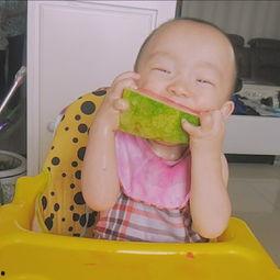 西瓜小伙伴们吃瓜视频,共享夏日清凉时光