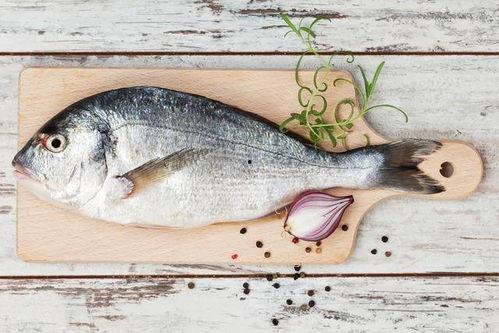 鱼吃葫芦瓜吗会死吗视频,葫芦瓜成鱼“致命毒药”?揭秘鱼儿食用后的生死之谜 第2张 鱼吃葫芦瓜吗会死吗视频,葫芦瓜成鱼“致命毒药”?揭秘鱼儿食用后的生死之谜 第2张