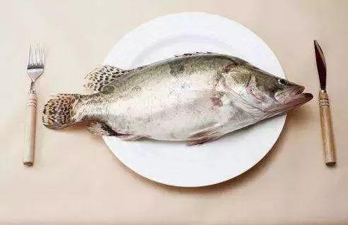 鱼吃葫芦瓜吗会死吗视频,葫芦瓜成鱼“致命毒药”?揭秘鱼儿食用后的生死之谜 第3张 鱼吃葫芦瓜吗会死吗视频,葫芦瓜成鱼“致命毒药”?揭秘鱼儿食用后的生死之谜 第3张