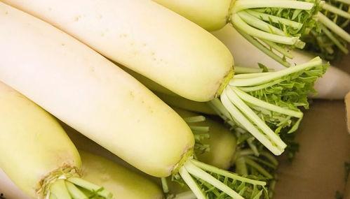 茭瓜粘液多可以吃吗视频  第3张