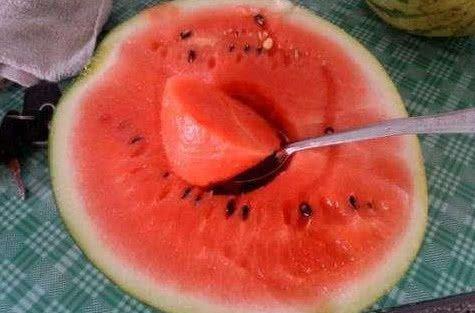 印度吃瓜的视频,趣味横生! 第3张 印度吃瓜的视频,趣味横生! 第3张