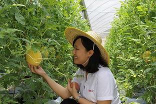 和平吃瓜视频,轻松解读热门事件背后的真相