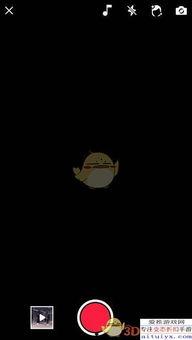 吃瓜打鸡血的视频教程完整版