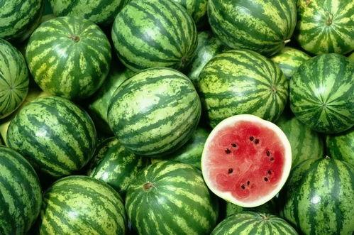 买瓜老板吃瓜视频大全播放,揭秘买瓜老板吃瓜视频大全的火爆魅力 第3张 买瓜老板吃瓜视频大全播放,揭秘买瓜老板吃瓜视频大全的火爆魅力 第3张