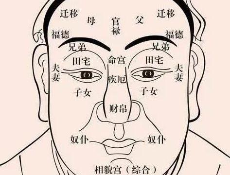 吃瓜的面相图解视频下载,视频图解带你一探究竟  第3张