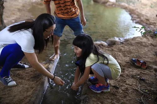农村女孩吃瓜视频大全播放,趣味横生的乡村生活瞬间  第3张
