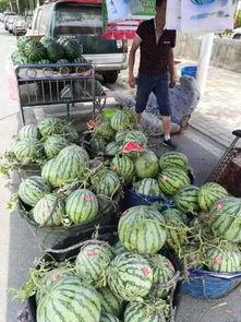 高州网红吃瓜事件视频曝光,视频曝光引发网友热议  第2张