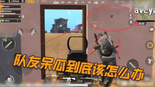 吃鸡呆瓜操作技巧视频,操作技巧视频深度解析