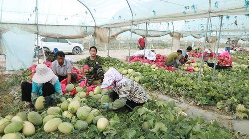 益阳吃瓜事件最新进展视频  第3张